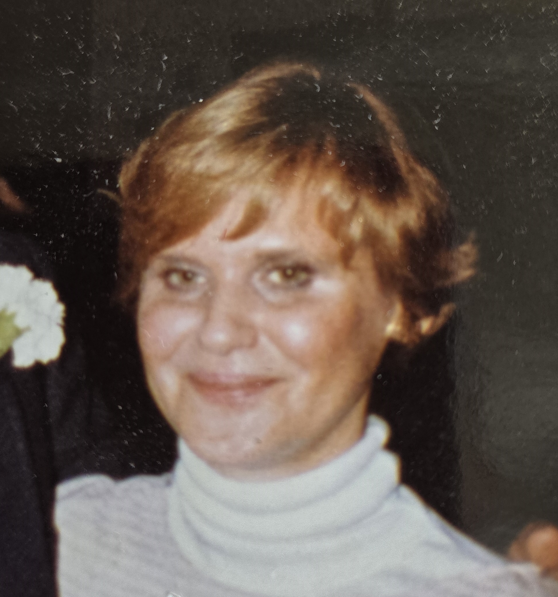 Loretta Distefanis Obituary on Michigan Memorial Funeral Home