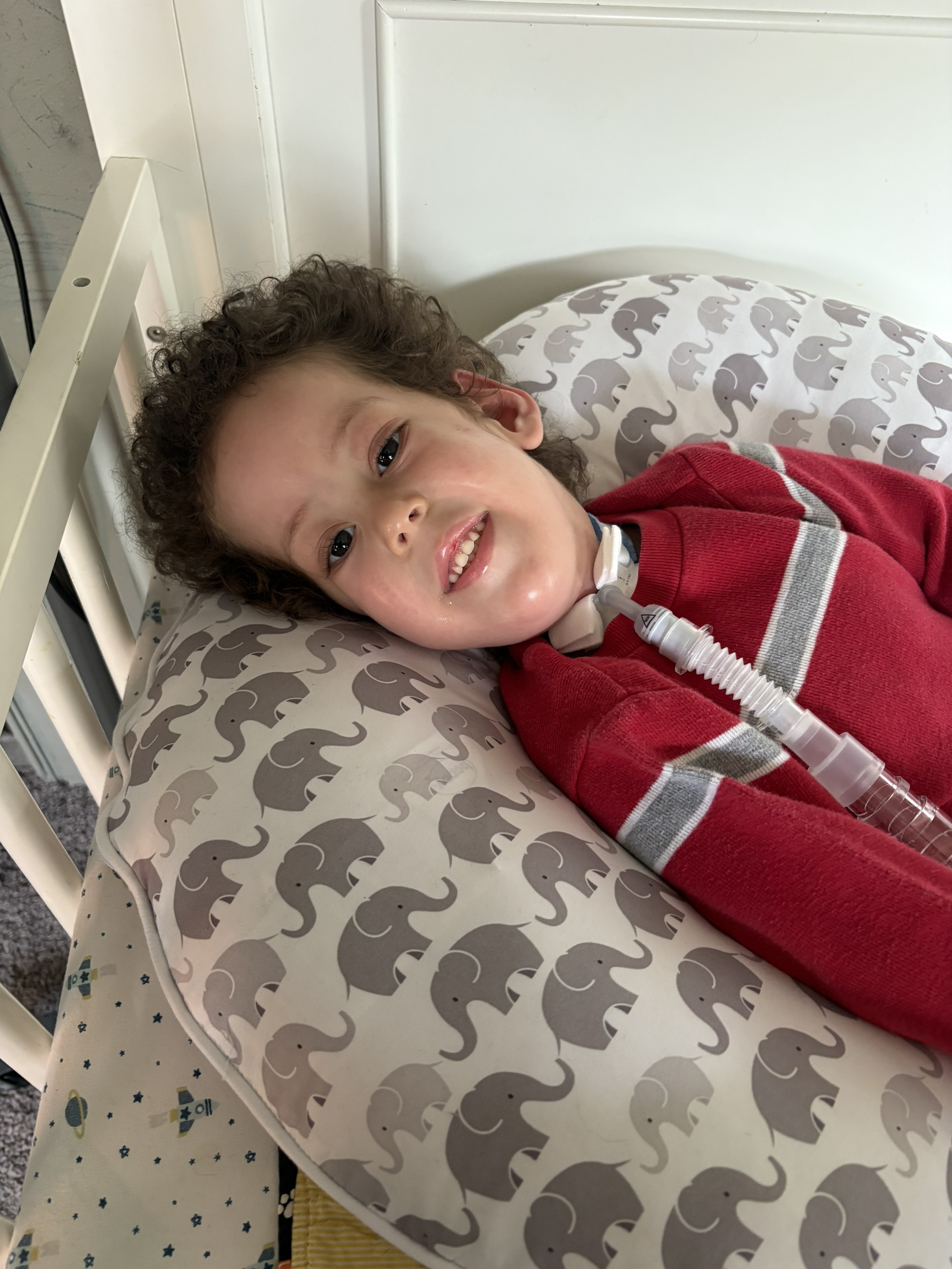 Knox Leone Brown Obituary on Michigan Memorial Funeral Home