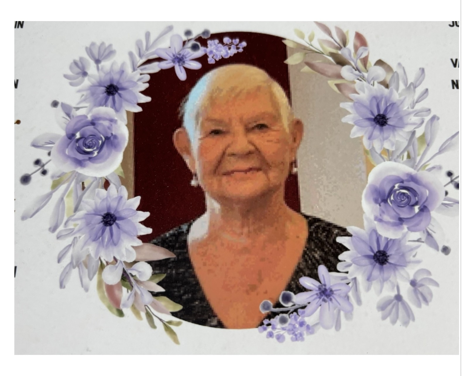  Joan Barbara  Bochniak Obituary on Michigan Memorial Funeral Home