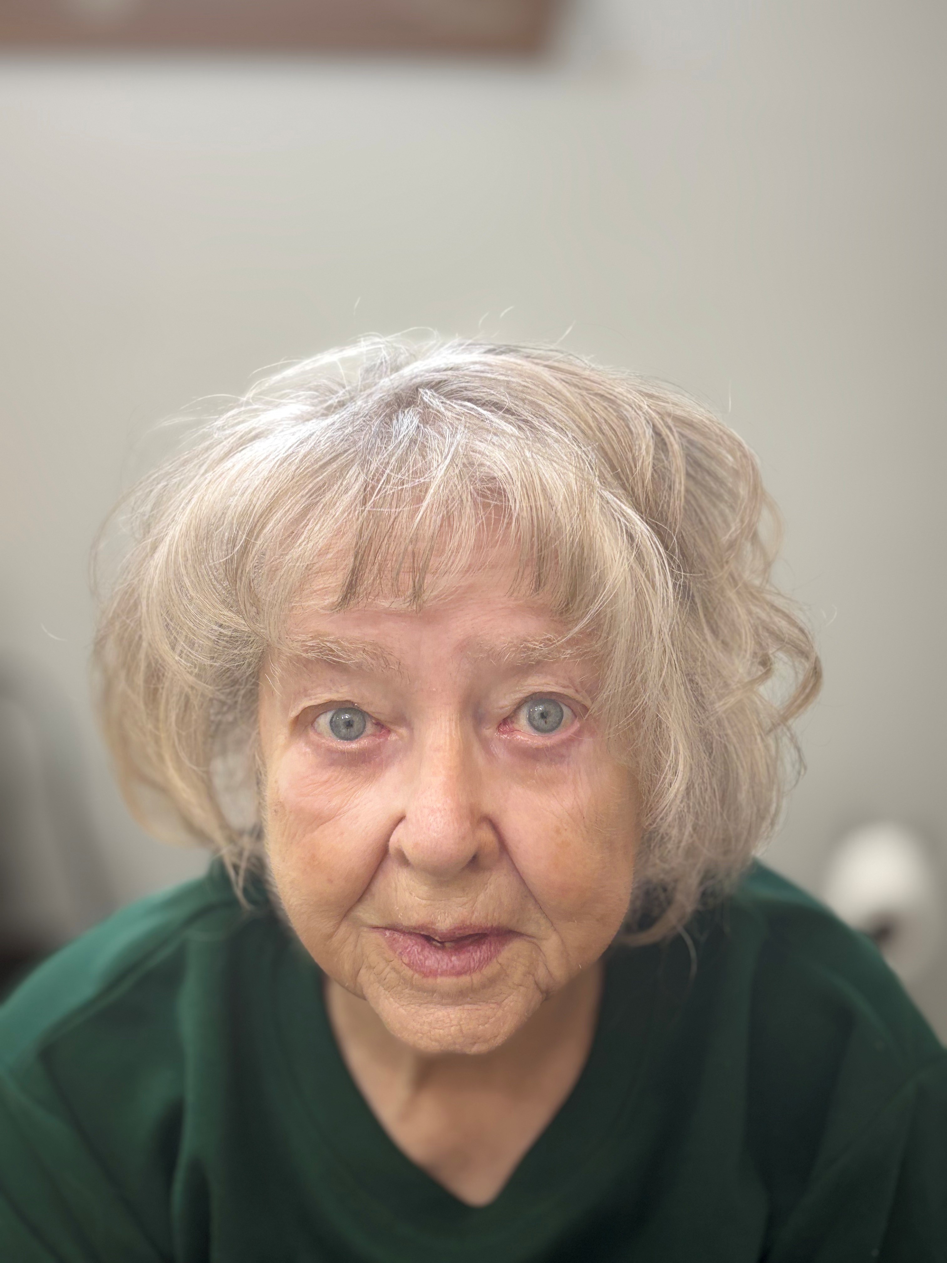 Joy San Redli Obituary on Michigan Memorial Funeral Home